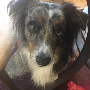 Meet your Posher, Joana